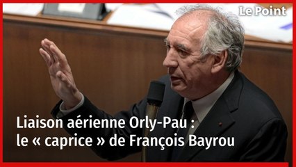 Liaison aérienne Orly-Pau : le « caprice » de François Bayrou