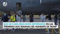 Van más de 8,000 deportados mexicanos en las dos primeras semanas de mandato de Trump