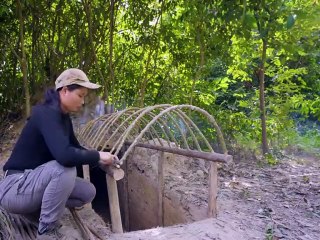 An Incredible Wilderness Sanctuary – Even Wild Boars Are Amazed! 🏕️🌿🐗