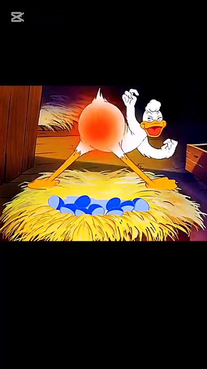 Duck ducky