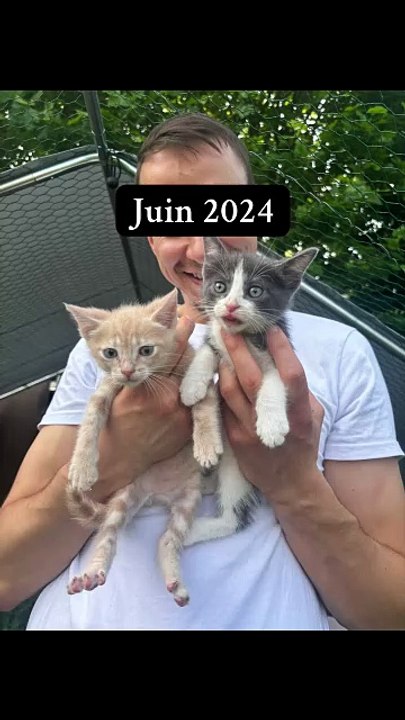 From day 1 to today… they grew up so fast 😭 Du 1er jour à aujourd’hui.. ça passe trop vite 😭