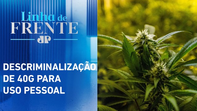 STF volta a julgar recursos sobre porte de maconha | LINHA DE FRENTE