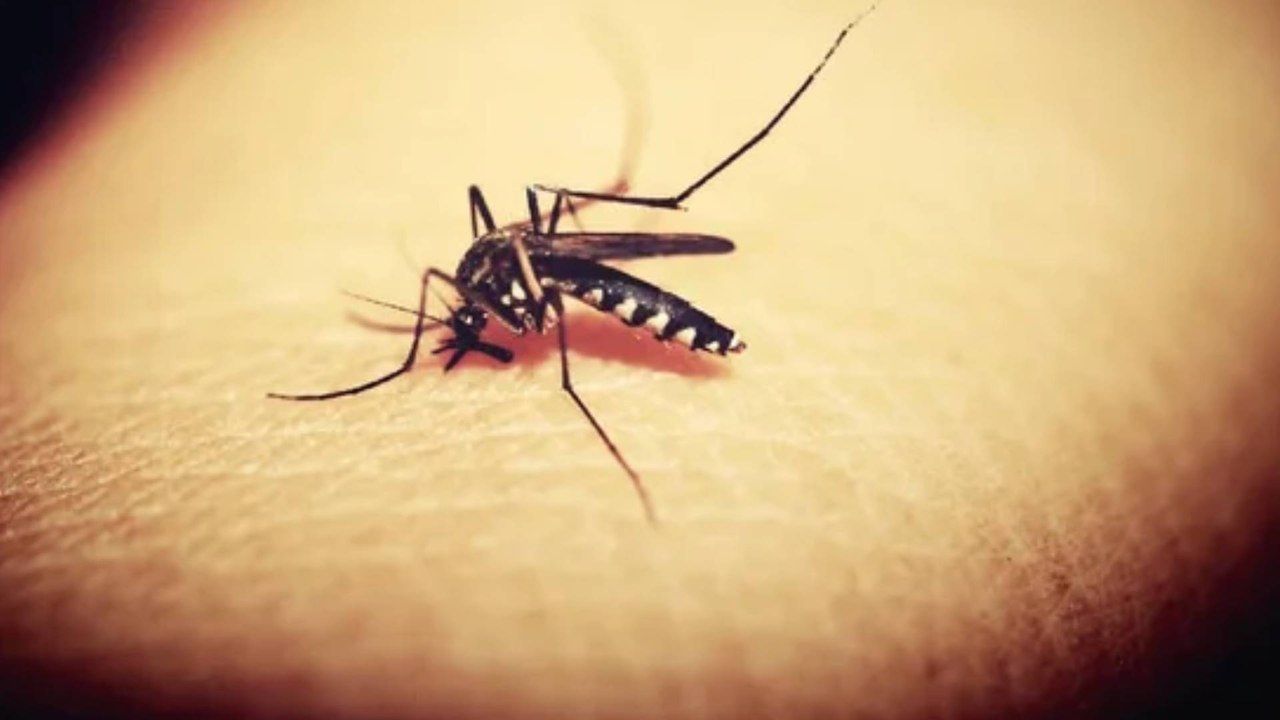 Alerta en Barranquilla por brote de dengue: joven de 15 años falleció por la enfermedad