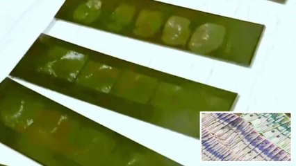 Descubren a banda que vendía bases de datos a criminales para extorsionar: así operaban