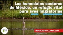 Los humedales costeros de México, un refugio vital para aves migratorias | 732 | 10-16 febrero 2025