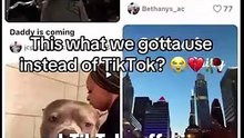 TikTok Alternatives Lemon8 App