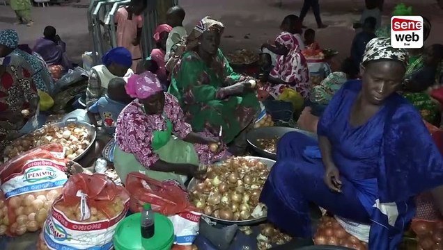 Madinatoul salam _Témoignage émouvant des Talibés de Sokhna Aida Saliou