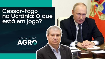 Fim da Guerra Rússia x Ucrânia? | HORA H DO AGRO