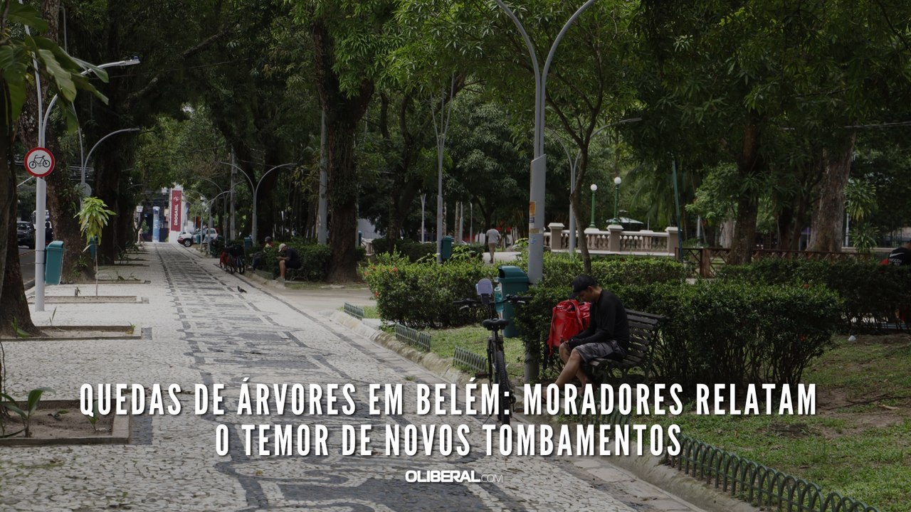 Quedas de árvores em Belém moradores relatam o temor de novos tombamentos