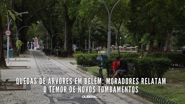 Quedas de árvores em Belém moradores relatam o temor de novos tombamentos