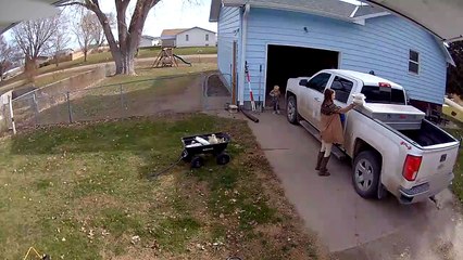 Pumpkin Pie Takes Tumble but Lands Perfectly Face Up