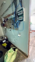 PM encontra estufa com centenas de plantações de maconha no DF