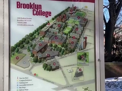 Amerika Universitetlari Sharoit Qanday Va O'qishga Arziydimi || Amerika Universitet Hayoti Brooklyn . . . . . #sardoriolawyer #uzbekistan #amerikadagimaktablar #amerikadacollegelar #amerikadagiozbeklar #amerikahayoti #sardorbekjumaboev #sardoriotv #prikol