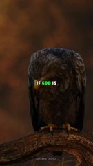 pinterestdownloader.com-1738986097.913703