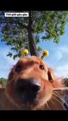 The first time I made a vlog, I was very confused