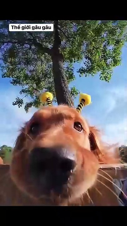 The first time I made a vlog, I was very confused