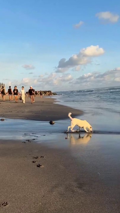 FB_VID_7365758242445599900