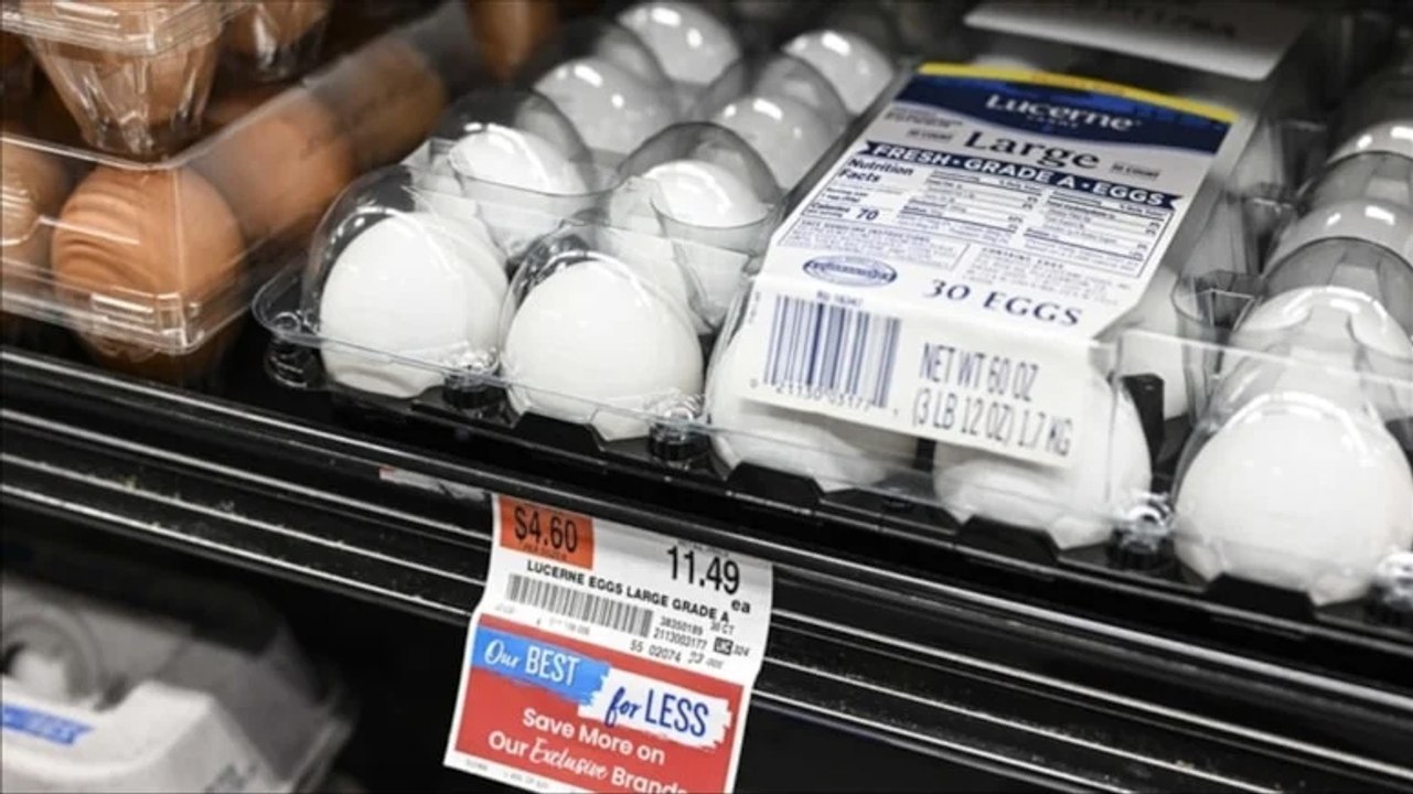 ABD'de kuş gribi krizi: Yumurta fiyatları arttı