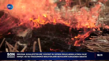 ANIZ YAKMA PİŞMAN OLMA