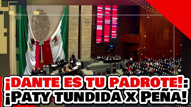 ¡DANTE ES TU PADROTE! ¡PATY MERCADO RECIBE UNA LECCIÓN dell DIPUTADO PEÑA por COLGARSE de la 4T!