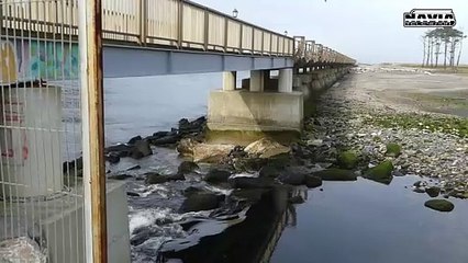 ENTORNO DE LA PLAYA DE NAVIA 2025