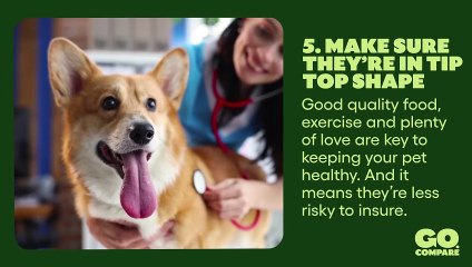 10 Tips On How To Get Cheaper Pet Insurance I Kiplinger