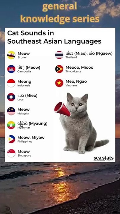data reference on cat sounds in Southeast Asian languages #languageslearning #cat #kitty