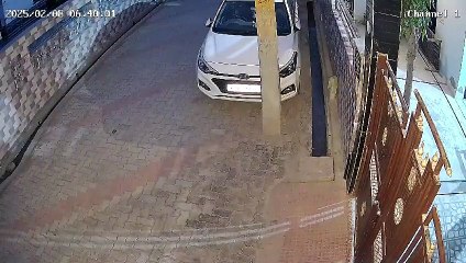 दौसा में घर के बाहर घूमता दिखा पैंथर, दहशत में लोग