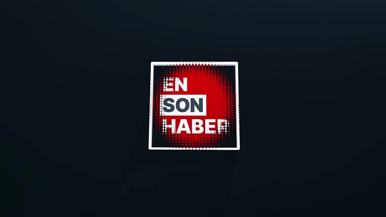 Uyuyan kediyi uyandıran güvercin