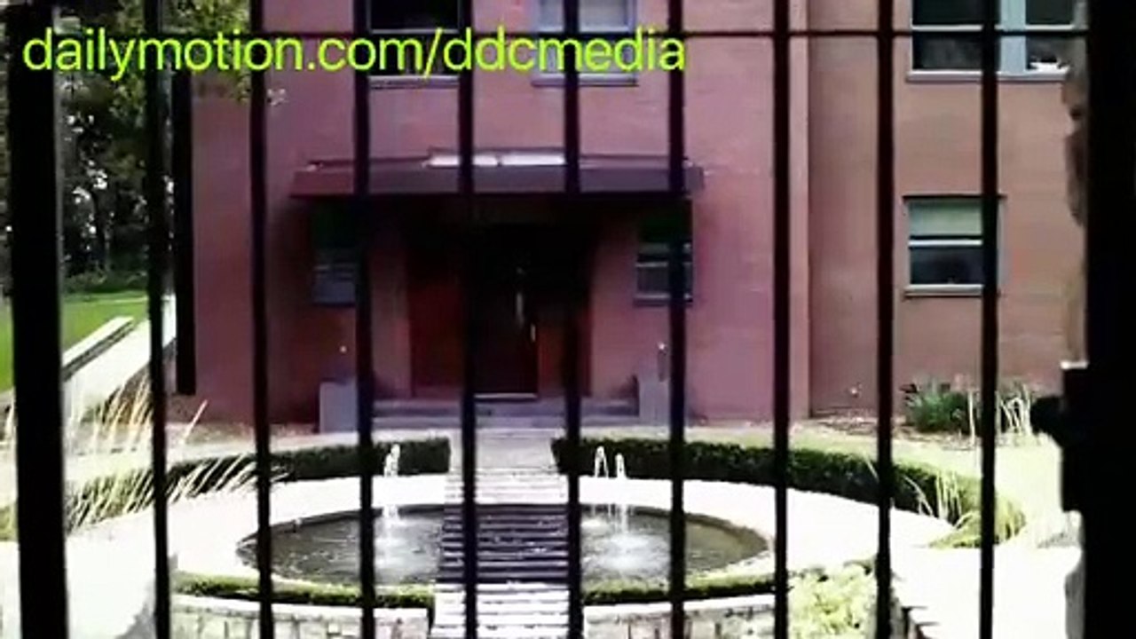 Tanata   short     #davedacoda f.v. schierach  20250210_102630_es_edited