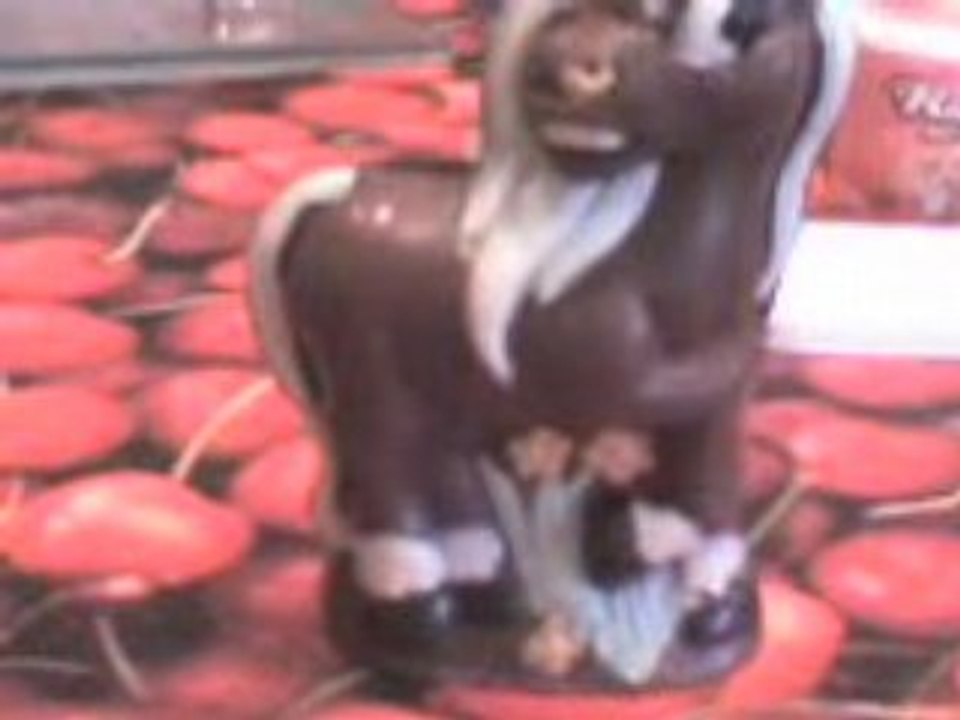 Poney