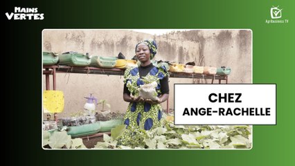 Mains Vertes : Chez Ange-Rachelle