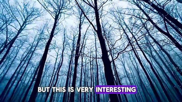 Whispers in the woods | horror story