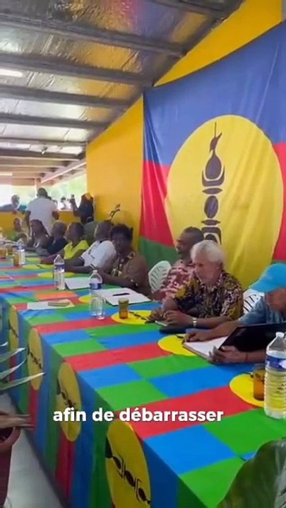 Le MDES dans les partis politiques qui ont créé le front international de décolonisation