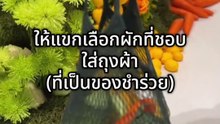 บ่าว-สาวไอเดียเริด จัดซุ้มงานแต่งด้วยผัก-ผลไม้ แถมเป็นของชำร่วยต่อได้ด้วย