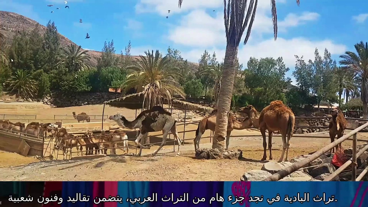 قصة من مجالس البادية مابعد الضيق الا الفرج
