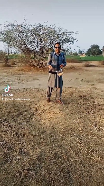 Feeding insects and Birds 🐦🦜Do Good Have Good