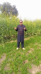 Impact of Pesticides on Health and Environment