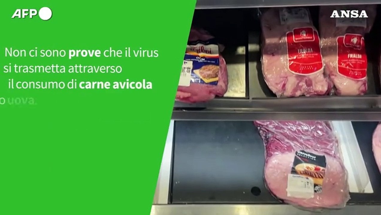 ANSA VERIFIED - E' vero che l'influenza aviaria puo' infettare facilmente l'uomo?