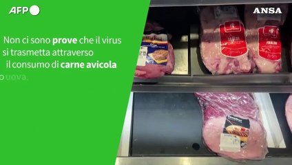 ANSA VERIFIED - E' vero che l'influenza aviaria puo' infettare facilmente l'uomo?