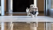 little cuties