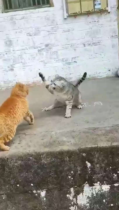 Very Funny car Video,,,, 🤣🤣🤣