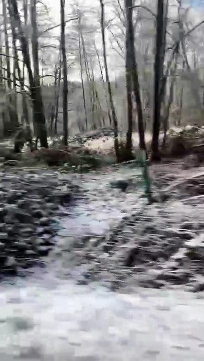 Welcome SNOW
