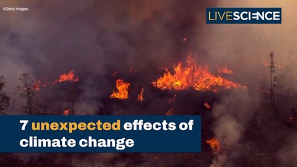 Unexpected Side Effects Of Climate Change