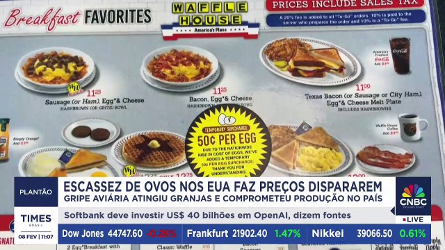 Escassez de ovos nos EUA faz preços dispararem | PLANTÃO TIMES BRASIL