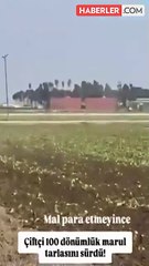 100 dönümlük tarlasını para kazandırmıyor diye yerle bir etti!