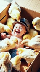 Little kids playing with cat and chicks