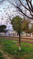 Rehman Baba Express