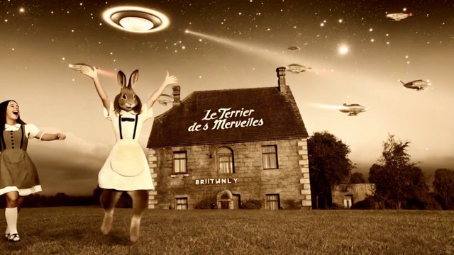 BESOIN RACINES : Ateliers, stages, groupes de pratique, médiation pour MIEUX VIVRE MES RELATIONS