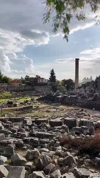 Didim Apollon Tapınağı MÖ 8. yüzyılda inşa edilen tapınak antik bir kehanet merkezi olarak bilinmektedir. Zeus'un oğlu Apollon'a adanan tapınak İyonyalılar tarafından yapılmıştır.